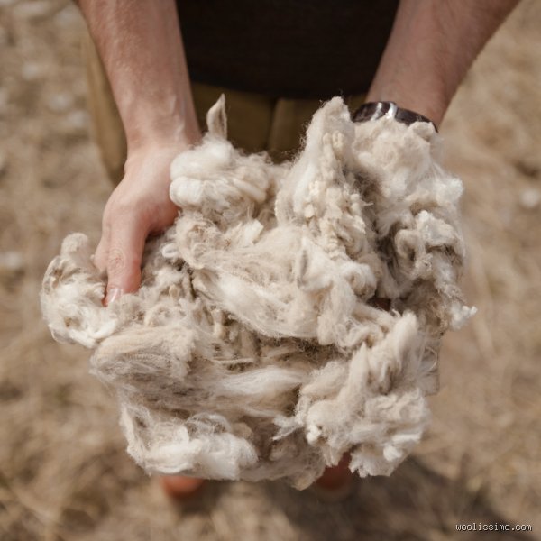 C'est quoi laine cardée ? Tout comprendre sur cette matière textile brute et son usage créatif