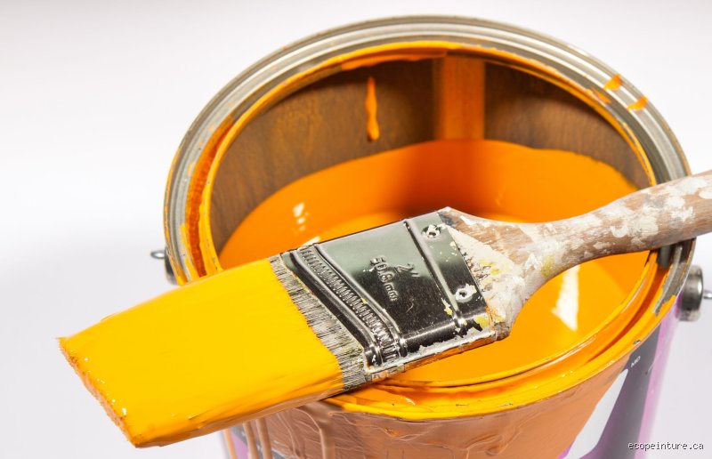Peinture de qualité : comment la reconnaître sans se faire avoir ?