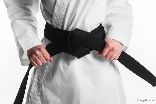 Le chemin vers la Ceinture Noire en Karaté : Ce Que Personne Ne Vous Dit Vraiment Sur La Durée et l'Exigence