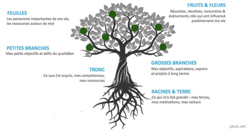 Pourquoi offrir un arbre de vie ? Le guide complet du symbole le plus puissant du cadeau personnalisé