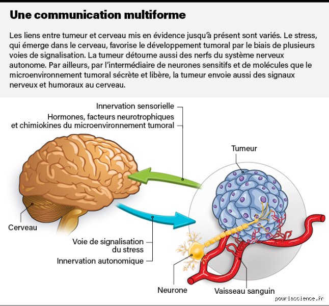 Comprendre la psychologie zodiacale : Qu'est-ce qui énerve un cancer au quotidien et comment éviter le drame ?