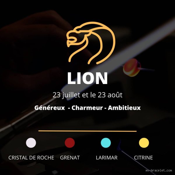 Décryptage astrologique : Quel signe aime le Lion ? (Première Partie)