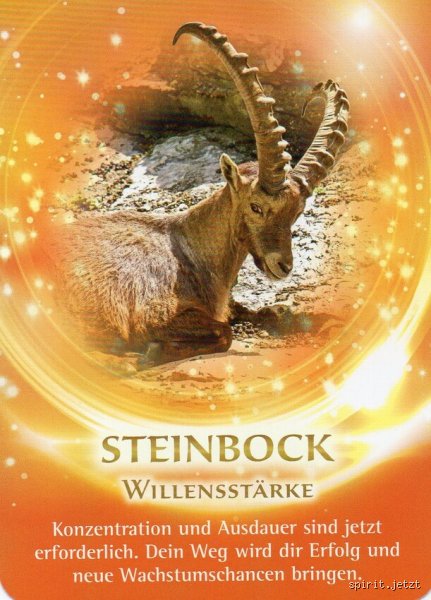 Was ist das Seelentier von Steinbock wirklich? Der Mythos der Bergziege und des Fisches