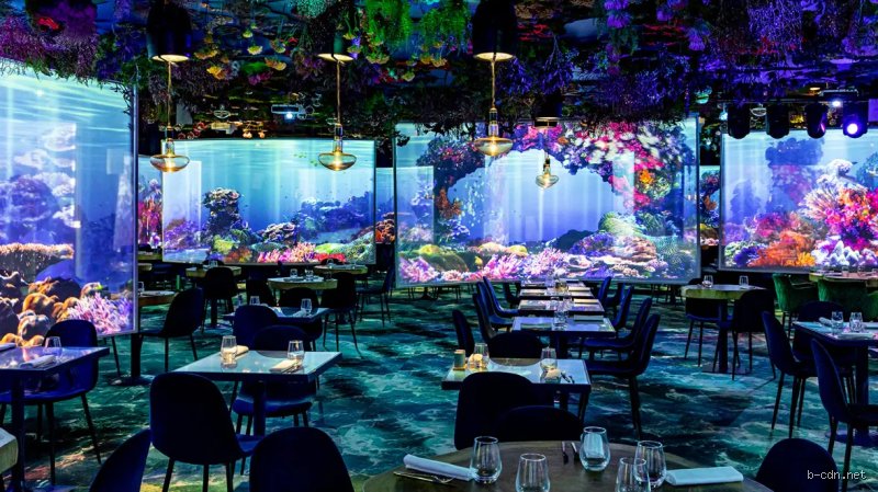 Quel est le restaurant le plus difficile à réserver à Paris ? Entre algorithmes et listes d'attente infinies