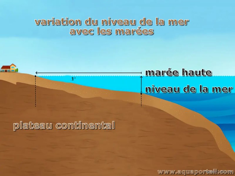 Quelle mer n'a pas de marée ?