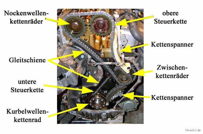 Hat der VW T4 eine Steuerkette oder Zahnriemen? Die klare Antwort und alles drumherum