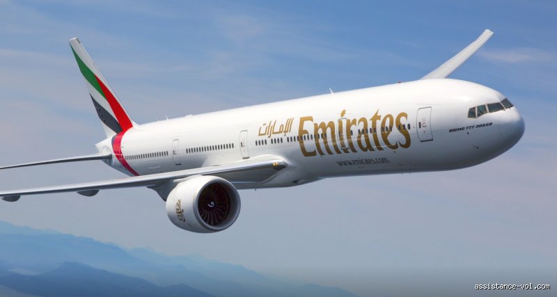 Les amis de l'avion sont-ils autorisés sur Emirates ? Le guide pour voyager accompagné