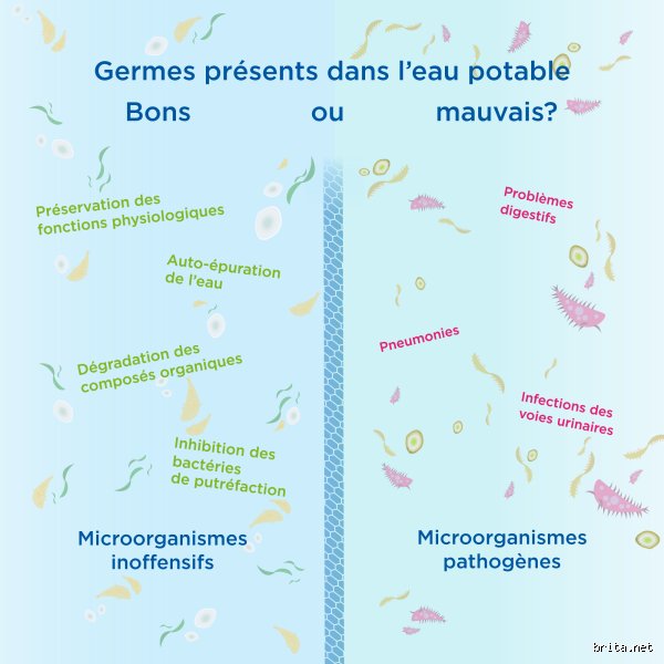 Qu'est-ce qui tue les bactéries dans l'eau du robinet ? Le grand secret de votre verre d'eau enfin révélé