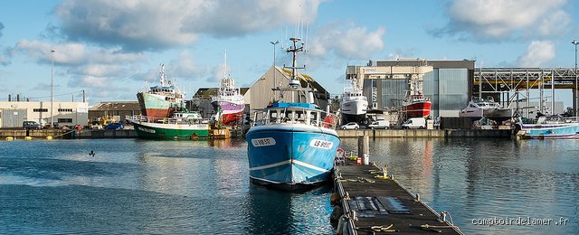 Quel est le plus grand port de pêche de France ? Voyage au cœur du géant Boulonnais et de ses paradoxes