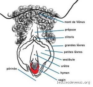Comment masser les grandes lèvres ? Le guide complet pour une détente intime profonde et une vascularisation optimale
