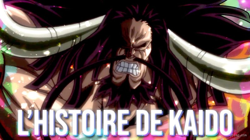 Quel est l'âge de Kaïdo ?
