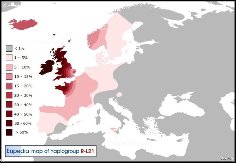 Quel pays possède le plus d'ADN celtique ? Enquête génétique au cœur des racines de l'Europe de l'Ouest