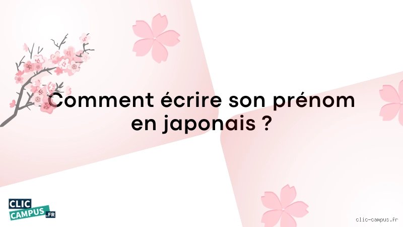 Quel surnom donne-t-on au Japon ? Tout comprendre sur l'Empire du Soleil Levant