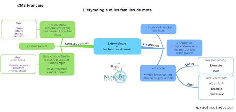 Quelle est l'étymologie du mot "même" ? Voyage au cœur d'une métamorphose linguistique fascinante du latin à nos jours