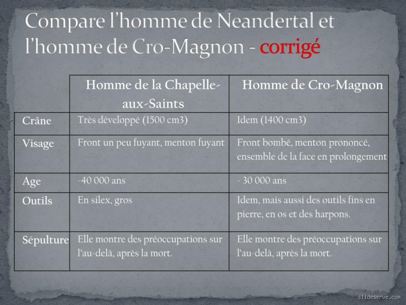 Quelle est la différence entre l'homme de Cro-Magnon et l'homme de Néandertal ?