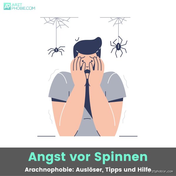 Ist Angst vor Spinnen irrational?