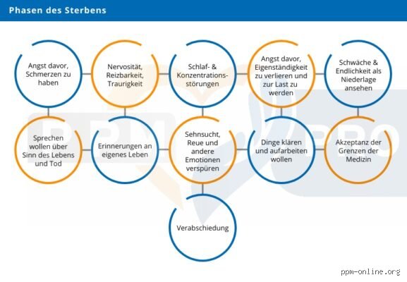 Wann beginnt die Sterbebegleitung? Der optimale Zeitpunkt und Prozess