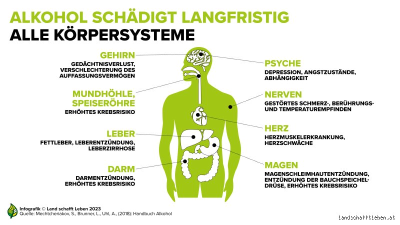 Was hat dieselbe Wirkung wie Alkohol?