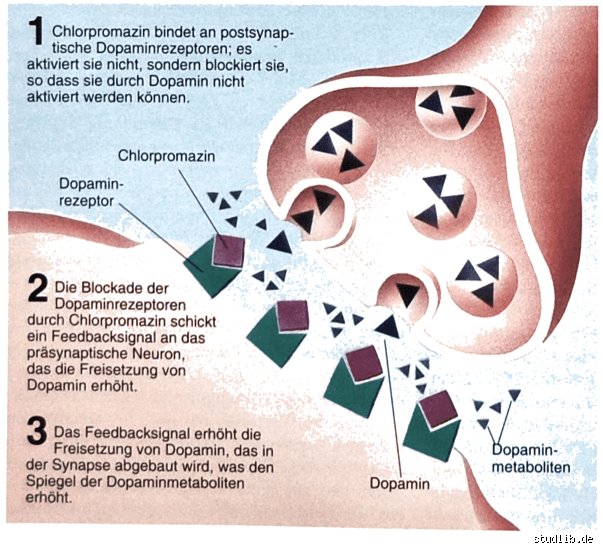 Was hat Dopamin mit Schizophrenie zu tun?
