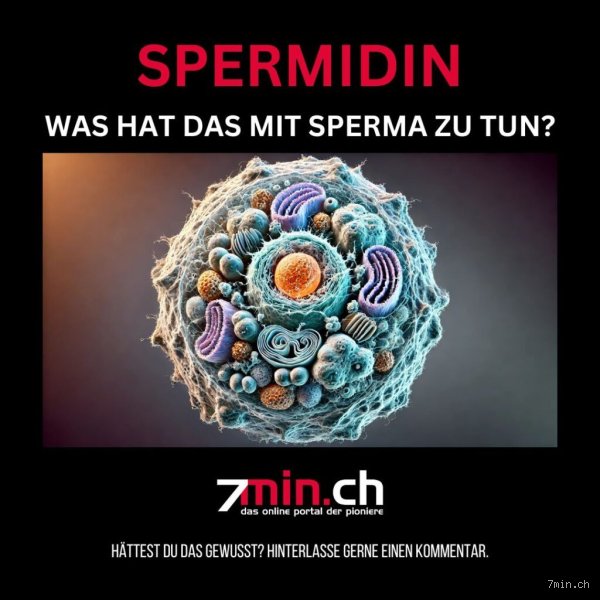 Was hat Spermidin mit Sperma zu tun?