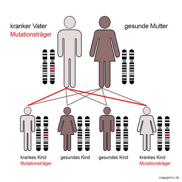 Was ist eine genetische Mutter?