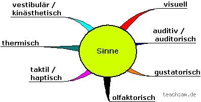 Was sind die 6 Sinne des Menschen?