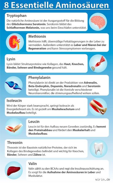 Brain-Boosting Power: Welche Aminosäuren dein Gehirn wirklich braucht!