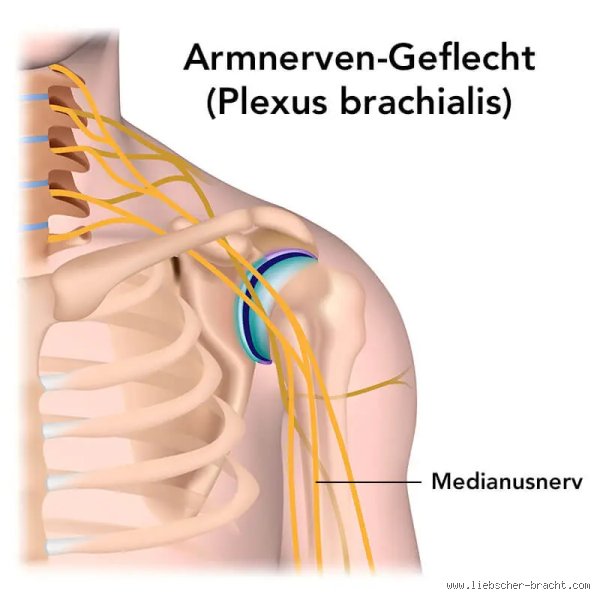Kribbeln im Arm? Welcher Nerv da verrückt spielt und was du dagegen tun kannst!