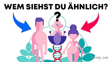 Wer vererbt die Größe? Ein Blick auf die genetischen Faktoren