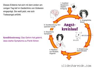 Welches Organ speichert Angst?