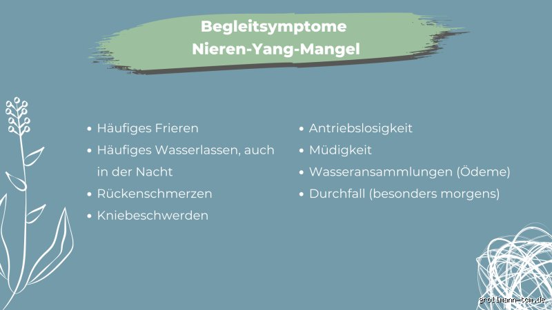 Wie äußert sich Yang Mangel?