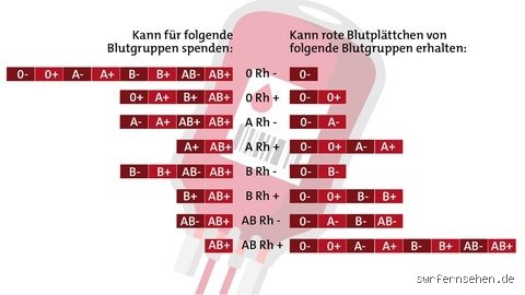 Wie viel Blut darf man am Tag spenden?