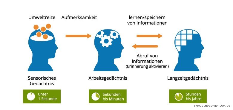 In welchem Beruf braucht man ein gutes Gedächtnis?
