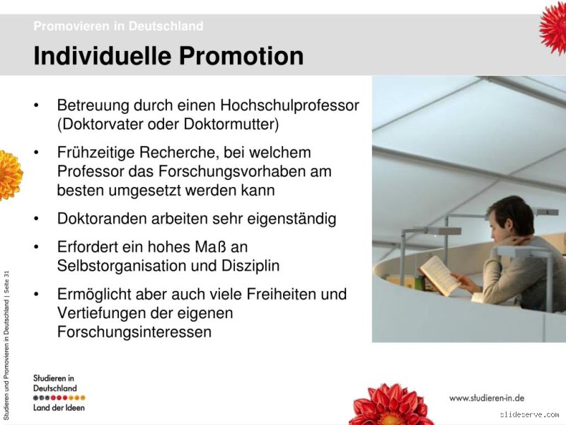 Kann man nur bei einem Professor promovieren? Die Wahrheit über die Betreuungsstruktur