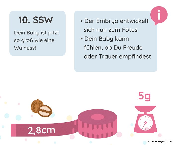Was bedeutet 10 SWS? Eine einfache Erklärung für Studierende