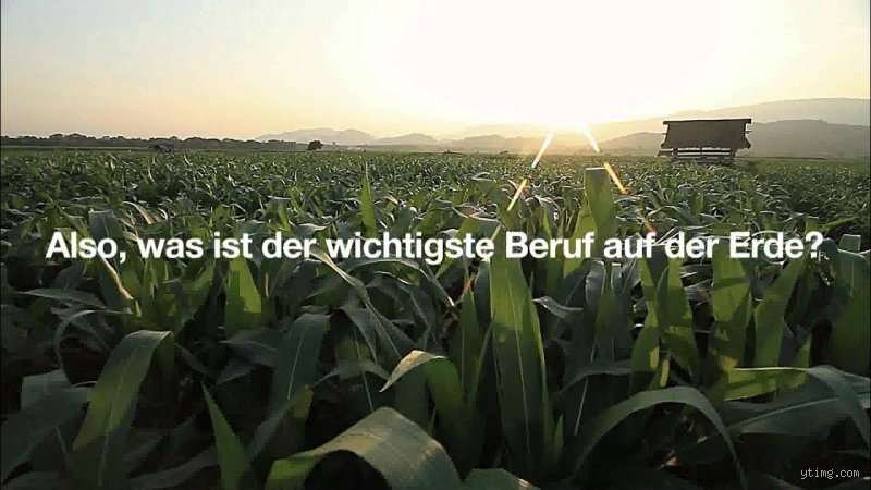 Der zweitwichtigste Beruf der Welt: Warum wir alle Lehrer sein sollten