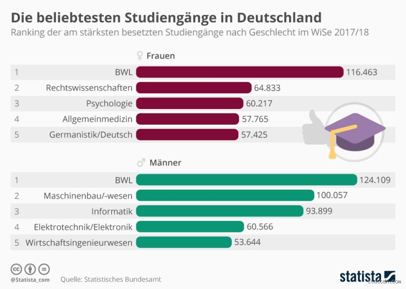 Studienfach-Dschungel: Welche Studiengänge katapultieren dich wirklich nach oben?