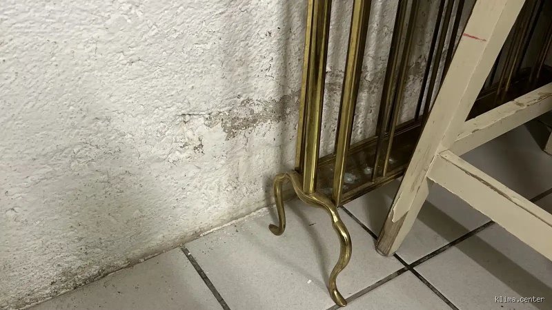Bei welcher Wandfeuchte entsteht Schimmel wirklich? Die unterschätzte Gefahr in den eigenen vier Wänden