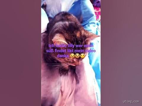 Was bedeutet es, wenn er mich süß findet?