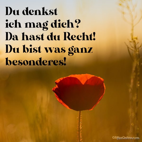 Was bedeutet "Ich mag dich wirklich"? Die feinen Nuancen der echten Zuneigung