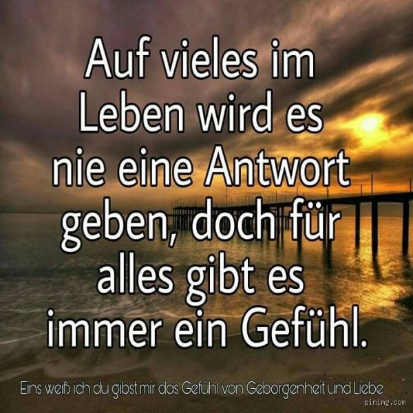 Was die Liebe zerstört? Warum Beziehungen wirklich scheitern und was die Psychologie dazu sagt