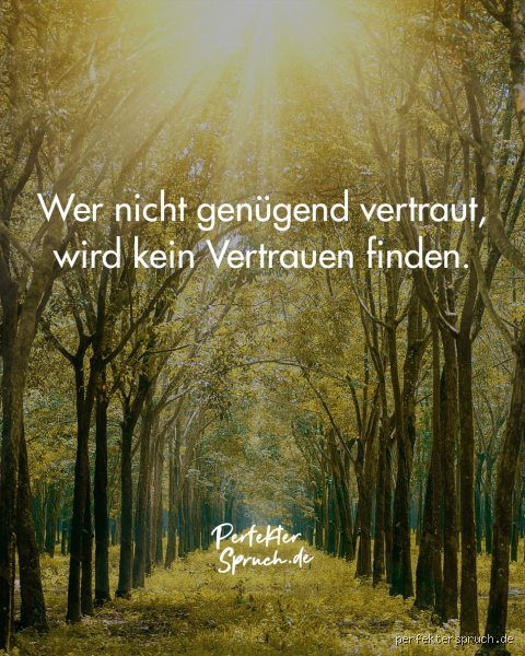 Wer nicht vertraut, wird kein Vertrauen finden