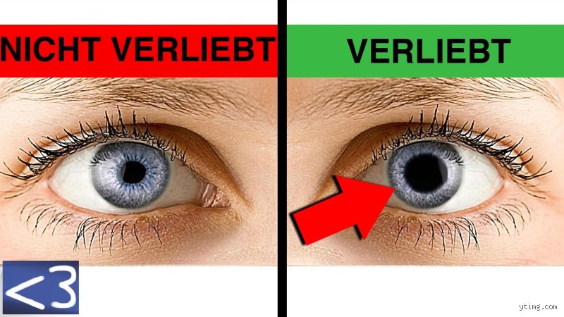 Verliebte Augen erkennen: Was dein Blick über Gefühle verrät – und wie ich es sehe
