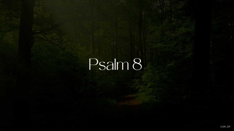 Was steht in Psalm 8? Eine persönliche Entdeckungsreise durch einen der faszinierendsten Bibeltexte