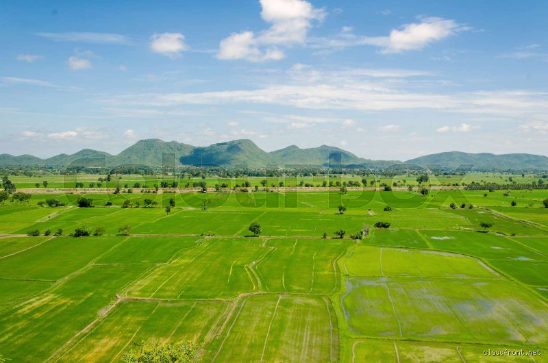 Wie heißt Miss Cornfield in echt? Die wahre Geschichte hinter dem Namen