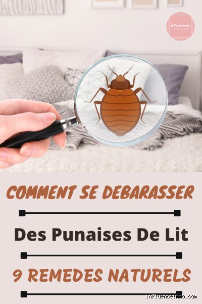 Comment attrape-t-on des punaises de lit ?