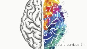 Comment fonctionne le cerveau d'un HP ?