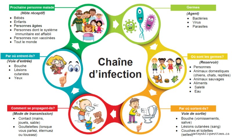 Quelles sont les 5 étapes d’une infection bactérienne : le guide complet pour comprendre la guerre invisible qui se joue en vous