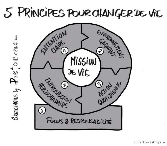 Quels sont les 5 principes de la vie ? Comprendre enfin les mécanismes biologiques qui régissent tout organisme sur Terre