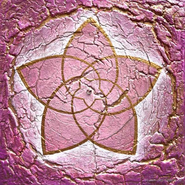 Was ist die Blume der Liebe? Die Rose und mehr als du denkst